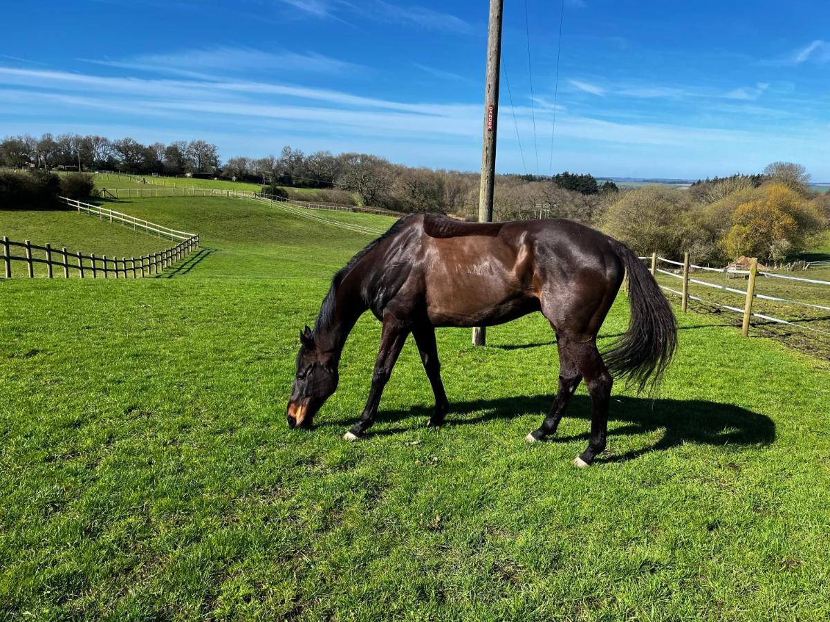 Byre - Farm Cottage On 9 Acre Equestrian Small Holding Salisbury Exterior photo